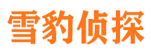 澜沧找人公司